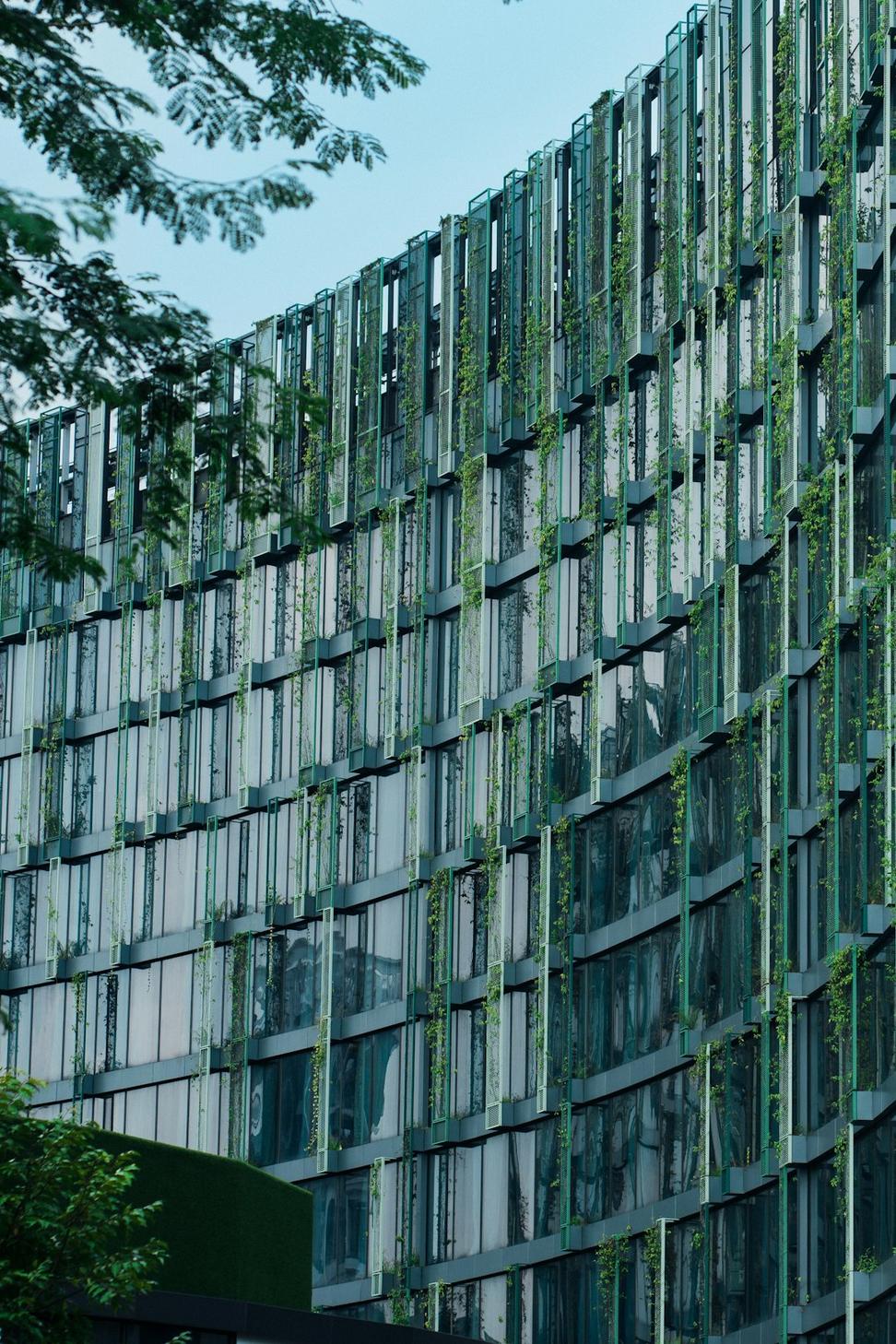 Featured Project