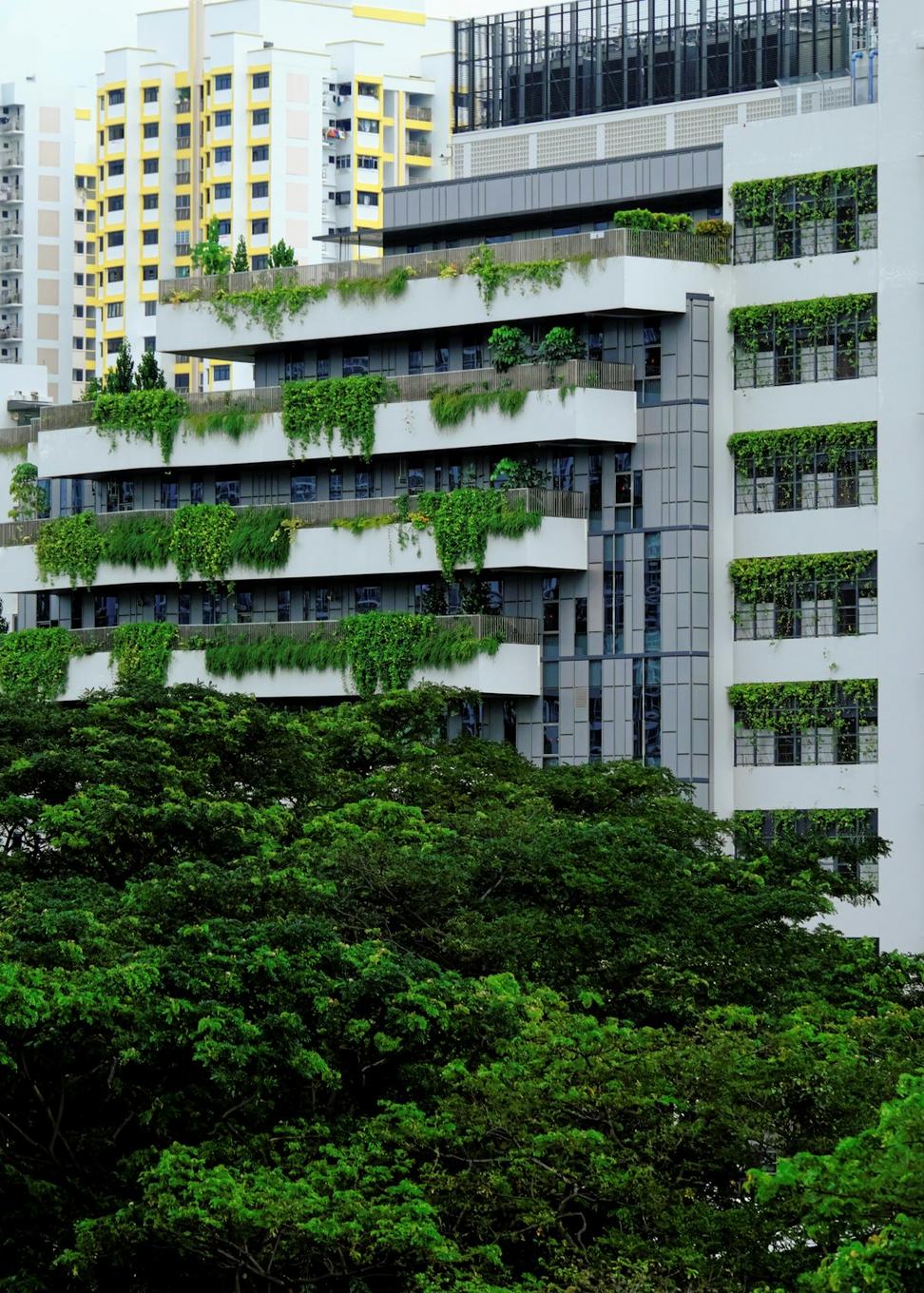 Green Building Certifications