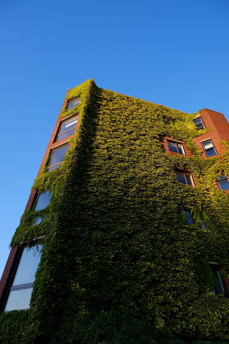 Living Roof Office