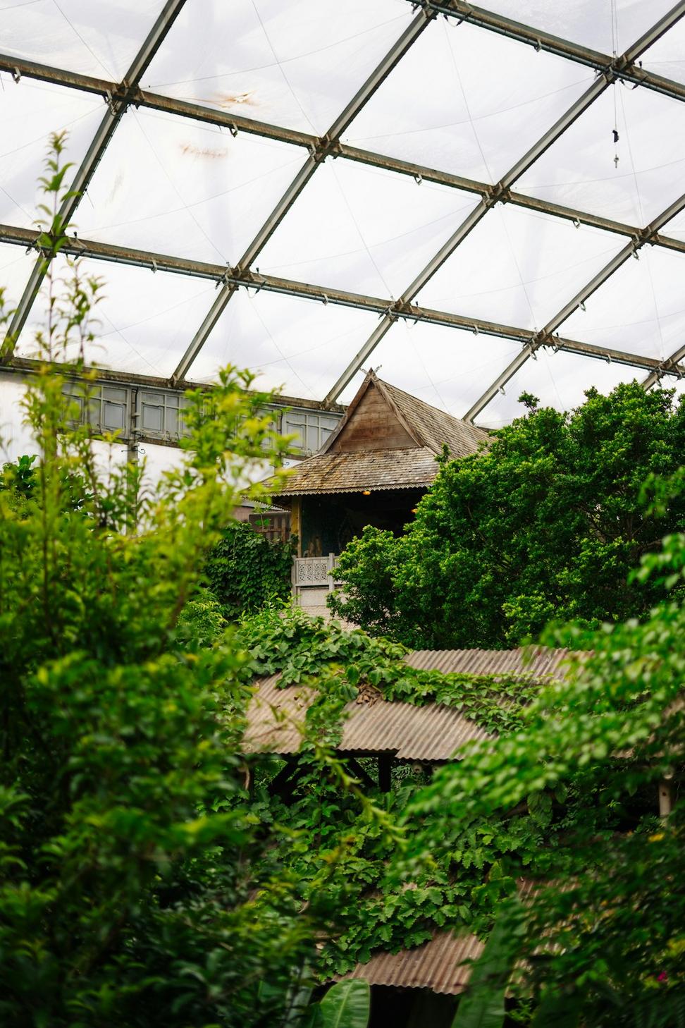 Lynn Valley Net-Zero Home